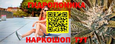 PSILOCYBIN Нальчик